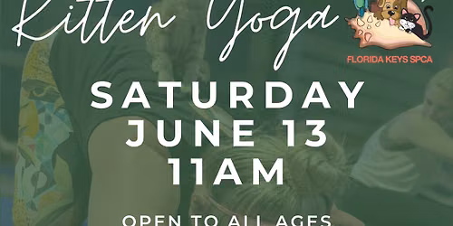 Kitten Extravaganza Week: Kitten Yoga at FYT Key West
