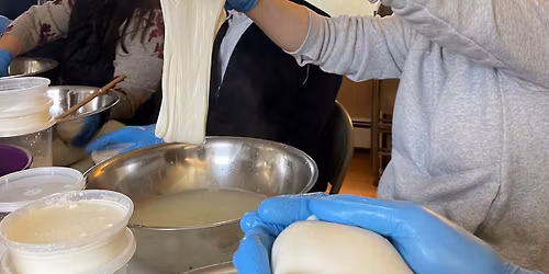 Mozzarella from Scratch