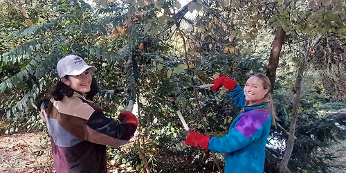 BrightenUp London Community Day @ Peckham Rye