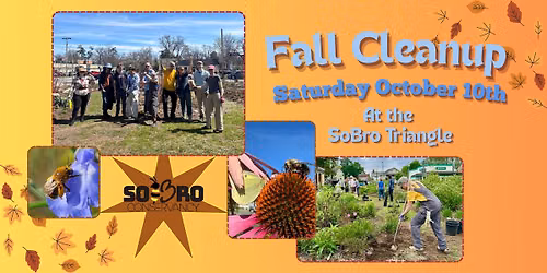 2026 Fall Cleanup