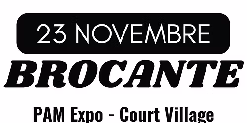 Brocante du Winter Village