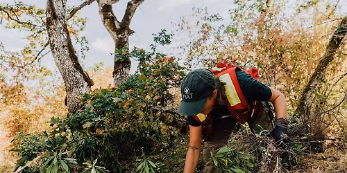 FREE Garry Oak Ecosystem Restoration