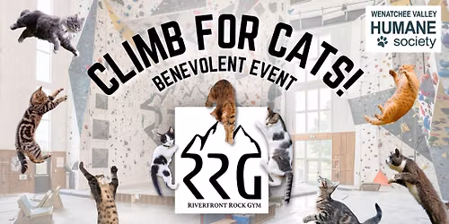 Climb for Cats