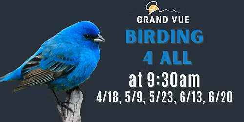 Birding 4 All