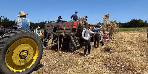 Historic Hay Harvest