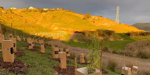 Christchurch: Eco Church Regenesis Planting Day