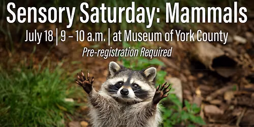 Sensory Saturday: Mammals