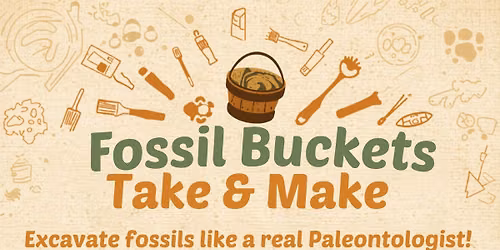Fossil Buckets Take and Make (Grades K-5)