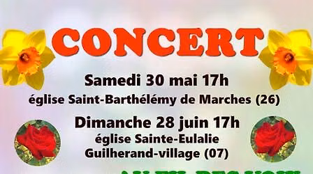 Concert