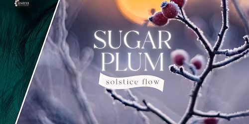 Sugar Plum Solstice Flow