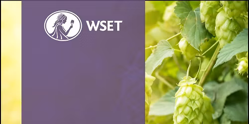 WSET L2 Award in Beer at Siren Brewery