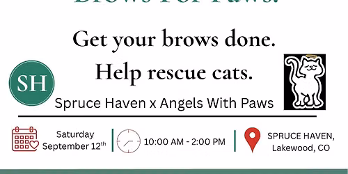 Brows for Paws 
