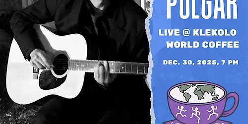 Robi Polgar: Americana Soul with British Invasion Swagger Live @ Klekolo