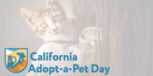 California Adopt A Pet Day