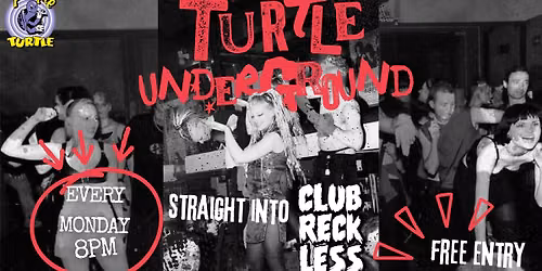 Turtle Underground
