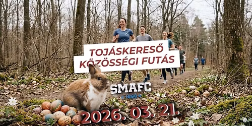 Toj\u00e1skeres\u0151 k\u00f6z\u00f6ss\u00e9gi fut\u00e1s