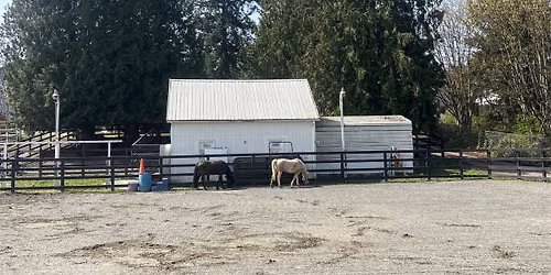 Care Fur Life Horse Rescue Community Volunteer Day