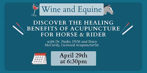 Wine & Equine: Healing Benefits of Acupuncture for Horse + Rider