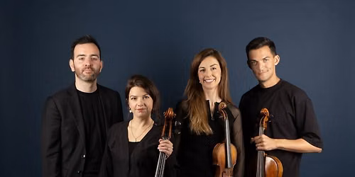 Solem Quartet: Industry