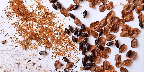 Winter Seed Share and Social - December 2025 Chapter Meeting