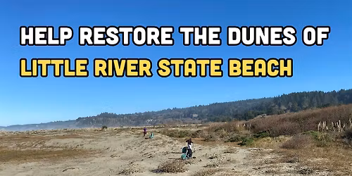 Help restore Little River State Beach!