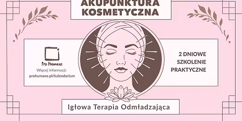 Ig\u0142owa terapia odm\u0142adzaj\u0105ca - akupunktura kosmetyczna