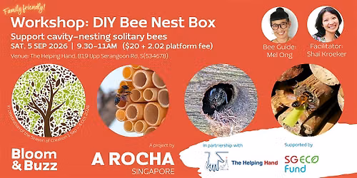 DIY Bee Nest Box Workshop