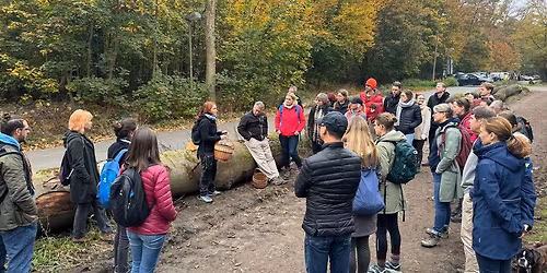 Exkursion: Pilze im Frankfurter Oberwald
