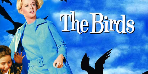 The Birds - Presented by the Grand Rapids Audubon Club