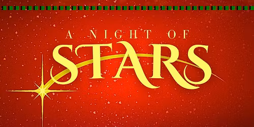 A Night of Stars Gala