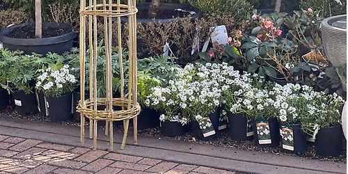 Garden Obelisk Workshop