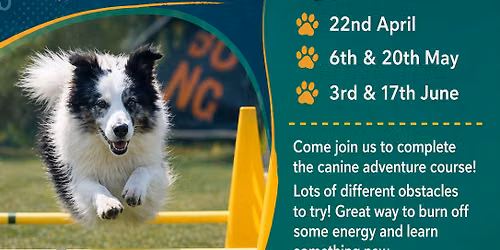 \ud83d\udc3e Canine Adventure Course \ud83d\udc3e