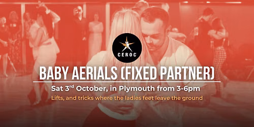 Baby Aerials Workshop (Fixed Partner Only) — Chaddlewood Farm Community Centre, Plymouth, PL7 2, United Kingdom