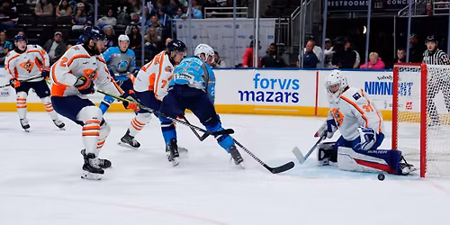 Greenville Swamp Rabbits vs. Jacksonville Icemen