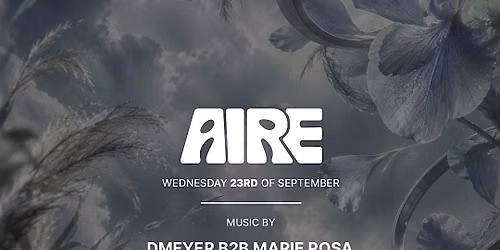 AIRE DMEYER B2B MARIE POSA OOZZAA EFFECTUM