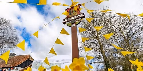 Thriplow Daffodil Festival - Day trip by coach  