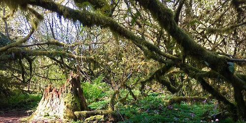 Lewis Creek Park Hike