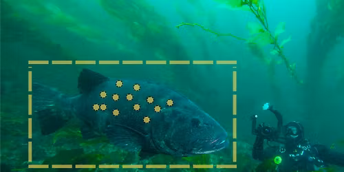 Science Pub: Sea Bass, Selfies & Science