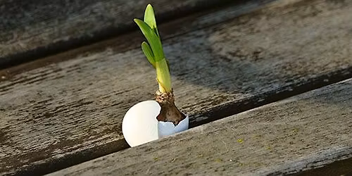 Trening terapeutyczny w podej\u015bciu Gestalt z Andrzejem Ca\u0142a