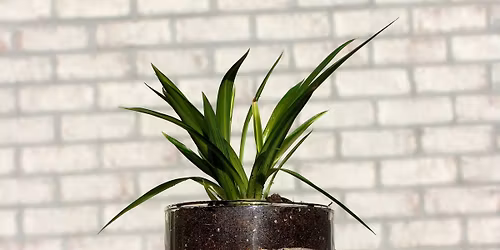 Sand Art Terrarium Workshop