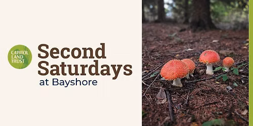 Second Saturdays: Fungi of Bayshore