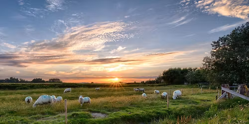 Beethoven's Pastorale