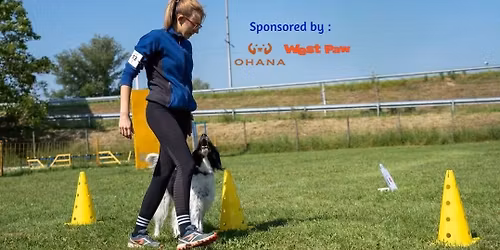 23. me\u0111unarodno RALLY OBEDIENCE natjecanje "Zagreb zima 2025."