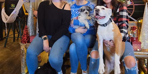 Holiday Pet Portraits at Bonfire