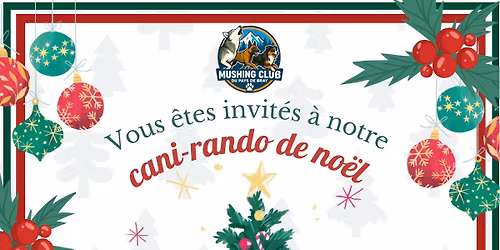 Cani-randonn\u00e9e de No\u00ebl \ud83c\udf84