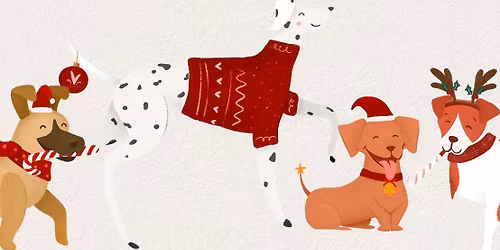 Fitpaws Christmas Meet Up