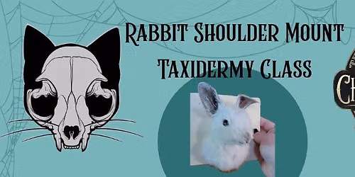 Rabbit Shoulder Mount Taxidermy Class 