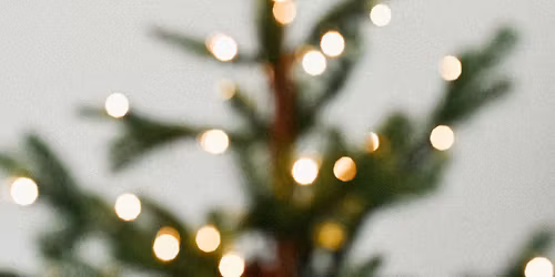 Studio Christmas Mini Photoshoots