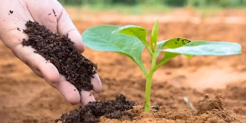2026 "Ask a Master Gardner" Series - Plant Nutrition