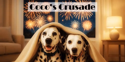 City of Escondido Illegal Fireworks Sub-committee